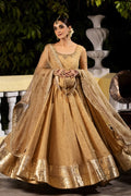 Golden Grace Party Wear